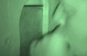 Of age bear sucking load of shit near nightvision